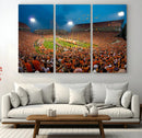 Clemson University Tigers Football Team Print - Clemson