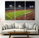 Iowa State University Cyclones Football Team Print - Ames