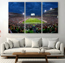 Michigan State Spartans Football Team Print - East Lansing