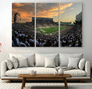 Michigan State Spartans Football Team Print - East Lansing
