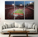 Ohio State University Buckeyes Football Team Print -