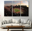 Ohio State University Buckeyes Football Team Print -
