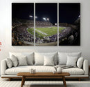 TCU Horned Frogs Football Team Print - Fort Worth Amon G.