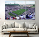 The Texas Christian University TCU Horned Frogs Football