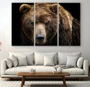 Grizzly Brown Bear Canvas Wall Art, Wildlife Animal Canvas