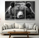 Resting Grizzly 399 Bear Canvas Print | Ready to Hang Wall