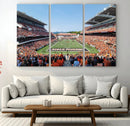 Oregon State Beavers Football Team Print - Corvallis Reser by MyGreatCanvas | Canvas Wall Art Prints | Photo Prints & Wall Decor