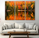 Forest Reflection Art | Autumn Forest Reflection Wall Art | by MyGreatCanvas | Canvas Wall Art Prints | Photo Prints & Wall Decor