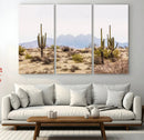 Desert Cactus Canvas Wall Art – Serene Southwestern Arizona by MyGreatCanvas | Canvas Wall Art Prints | Photo Prints & Wall Decor
