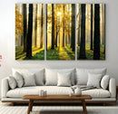 Sunlit Forest Wall Art Canvas Print – Large Framed Woodland