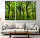 Lush Green Forest Canvas Print | 3-Panel Forest Wall Art |