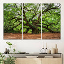 Majestic Oak Tree Wall Art Canvas Print – Ancient Branches by MyGreatCanvas | Canvas Wall Art Prints | Photo Prints & Wall Decor