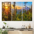 Forest Sunset Wall Art Canvas Print, Glowing Evening Light by MyGreatCanvas | Canvas Wall Art Prints | Photo Prints & Wall Decor