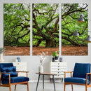Majestic Oak Tree Wall Art Canvas Print – Ancient Branches by MyGreatCanvas | Canvas Wall Art Prints | Photo Prints & Wall Decor