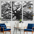 Ancient Oak Wall Art Canvas Print, Majestic Twisted Branches by MyGreatCanvas | Canvas Wall Art Prints | Photo Prints & Wall Decor