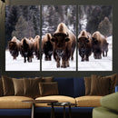 Bison Wall Art Canvas Print- Bison Herd Canvas Wall Art –