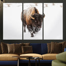 Bison Winter Wall Art Canvas Print For Farmhouse Decor
