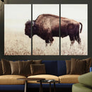 Bison in Field Wall Art Canvas Print For Farmhouse Barn
