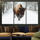 Bison Wall Art Canvas Print For Farmhouse, Animal Canvas