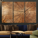 Tree Ring Canvas Art, Rustic Wood Grain Wall Art, Tree Slice
