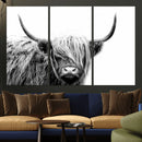 Black White Scottish Highland Cow Cattle Art Print Farmhouse