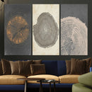 Boho Tree Ring Wall Art, Modern Minimalist Wood Grain by MyGreatCanvas | Canvas Wall Art Prints | Photo Prints & Wall Decor