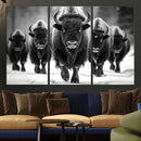 American Bison Art | Buffalo Herd Wall Art Canvas Print, BW