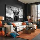 Scottish Cow Wall Art Canvas Print | Longhorn Wall Art |