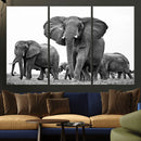 Black White Elephant Family Wall Art Canvas Print