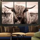 Scottish Cow Longhorn Wall Art Canvas Print