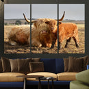 Highland Cow Canvas Wall Art Animal Print for Farm House