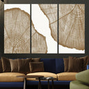 Rustic Brown Tree Ring Wall Art Canvas Print – Framed and