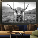 Black White Scottish Highland Cow Canvas Farm Wall Art