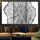 Rustic Tree Ring Wall Art Canvas Print – Framed and Ready to