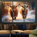 Scottish Highland Cow Horn Farm Wall Art Canvas Print