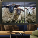 Charming Sheep Portrait Wall Art – Trio of Woolly Companions by MyGreatCanvas | Canvas Wall Art Prints | Photo Prints & Wall Decor