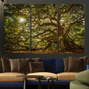 Ancient Angel Oak Tree Art Sunburst Canvas Print-