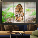 Leopard on the Prowl - Stunning Large Framed Leopard Wall
