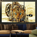 Blue-Eyed Leopard Canvas Wall Art - Framed Animal Print