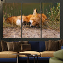 Sleeping Fox Wall Art Canvas Print, Farmhouse Wall Decor and