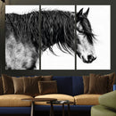 Majestic Horse Wall Art – Framed Black White Portrait Canvas by MyGreatCanvas | Canvas Wall Art Prints | Photo Prints & Wall Decor
