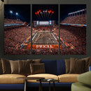 Texas Stadium Night Game Wall Art Canvas Print – Vibrant