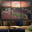 Indiana Memorial Stadium Wall Art Canvas Print, Framed