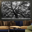 Black and White Old Angel Oak Tree Wall Art Canvas Print