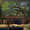 Historic Tree Wall Art – Framed Mossy Branch Canvas Artwork, by MyGreatCanvas | Canvas Wall Art Prints | Photo Prints & Wall Decor