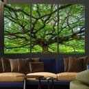 Ancient Tree Wall Art Canvas Print, Framed Sprawling by MyGreatCanvas | Canvas Wall Art Prints | Photo Prints & Wall Decor