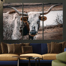 Texas Longhorn Wall Art Canvas Print – Framed Spotted Bull