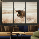 Texas Longhorn Wall Art Canvas Print – Framed Brown Horned