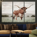 Texas Longhorn Wall Art – Framed Spotted Cattle Canvas by MyGreatCanvas | Canvas Wall Art Prints | Photo Prints & Wall Decor