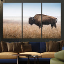 Wild Bison Wall Art – Framed Prairie Landscape Canvas by MyGreatCanvas | Canvas Wall Art Prints | Photo Prints & Wall Decor